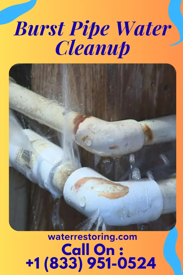 Burst Pipe Water Cleanup in Norwood, MO