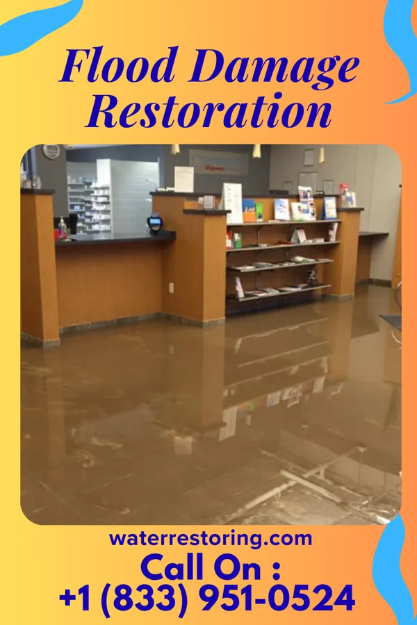Flood Damage Restoration in Norwood, MO