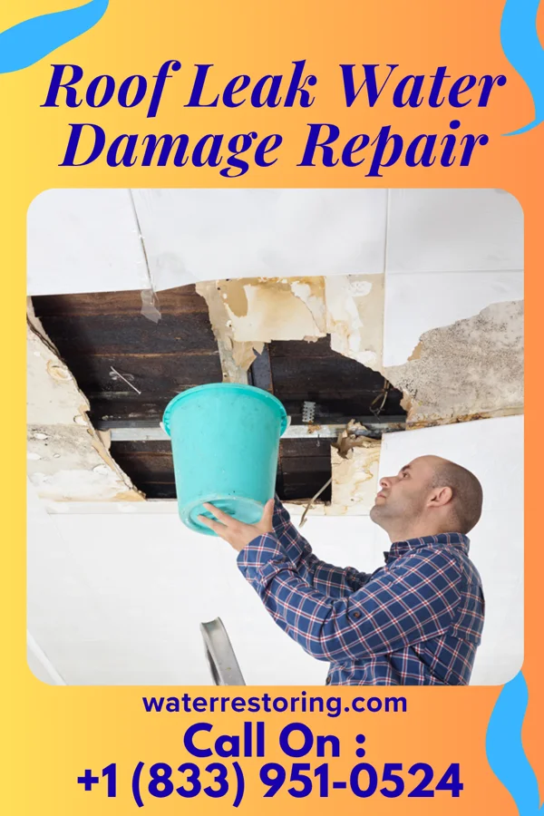 Roof Leak Water Damage Repair in Norwood, MO