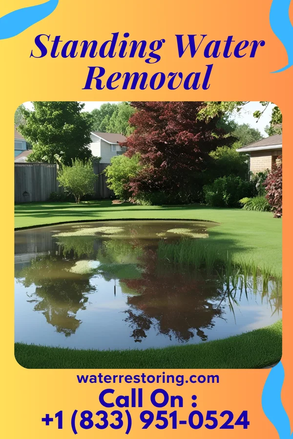Standing Water Removal in Norwood, MO